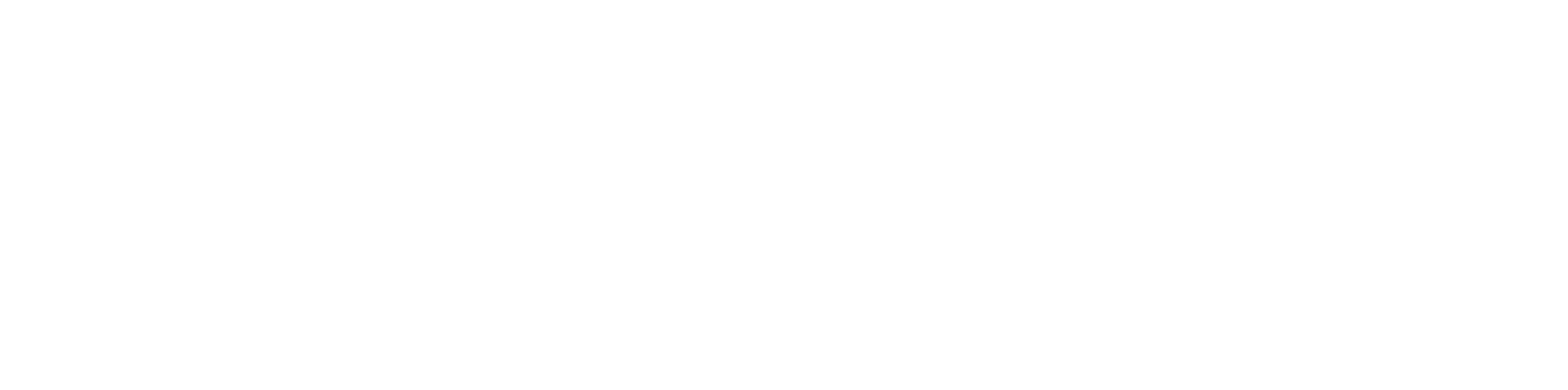 SS Logo