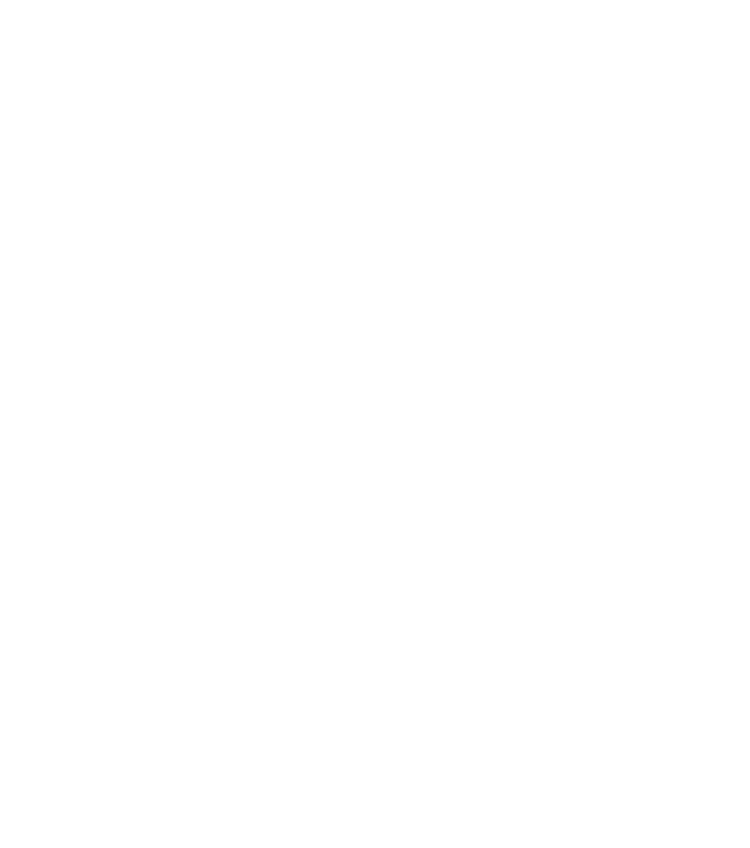 logo SS
